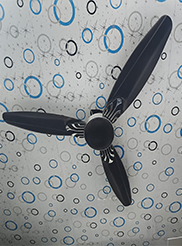 Designer Fan